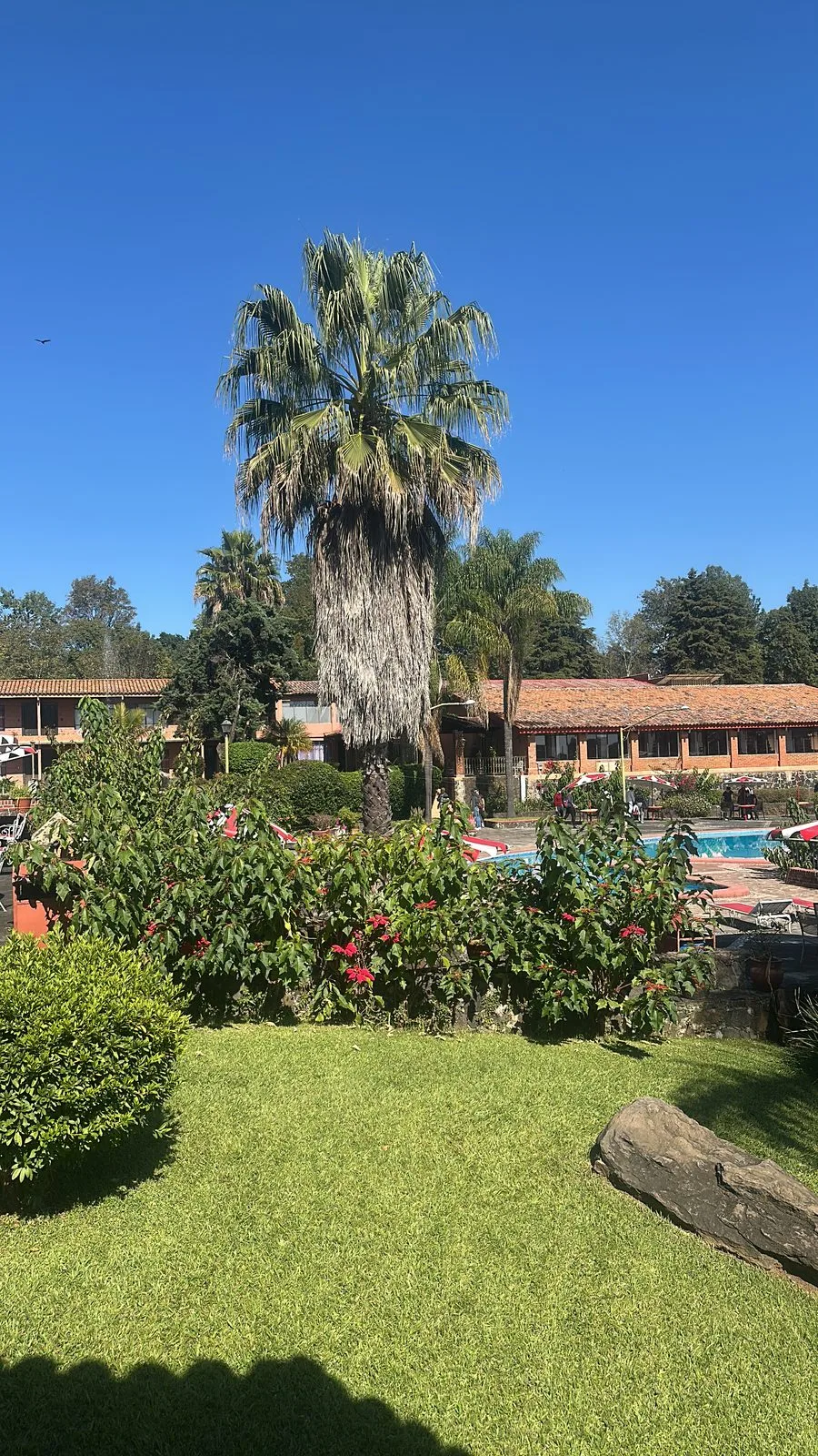 Parques y naturaleza en Uruapan